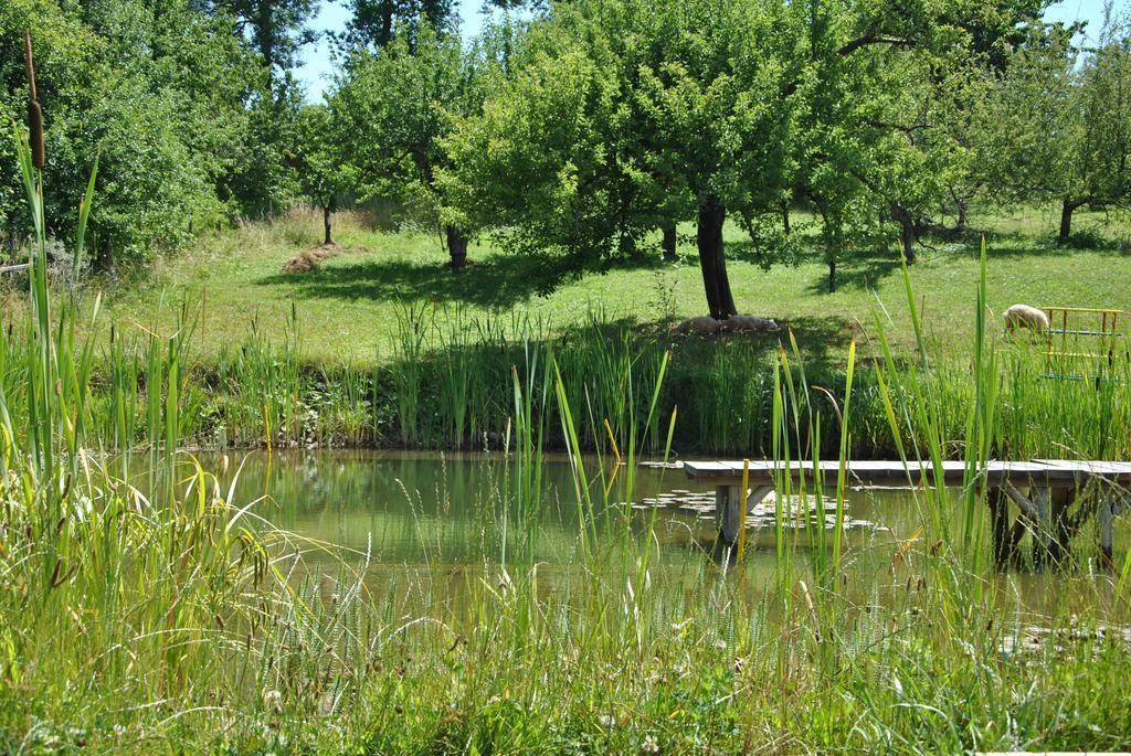 Gazdovsky Dvor "U Tlaciarov" Guest House Liptovský Trnovec Eksteriør bilde